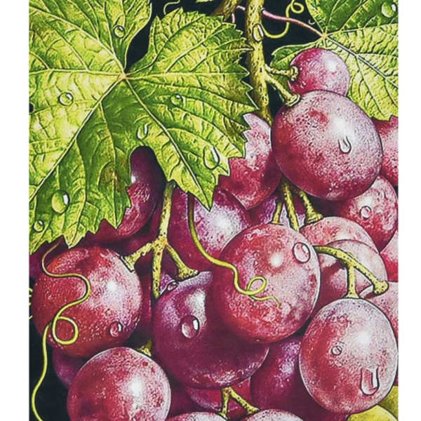 Алмазная мозаика "Гроздья богатства" HEG87076 30х40 см