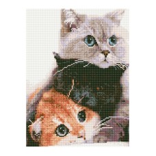 Алмазна мозаїка "Котяче тріо" EJ1234, 40х30 см