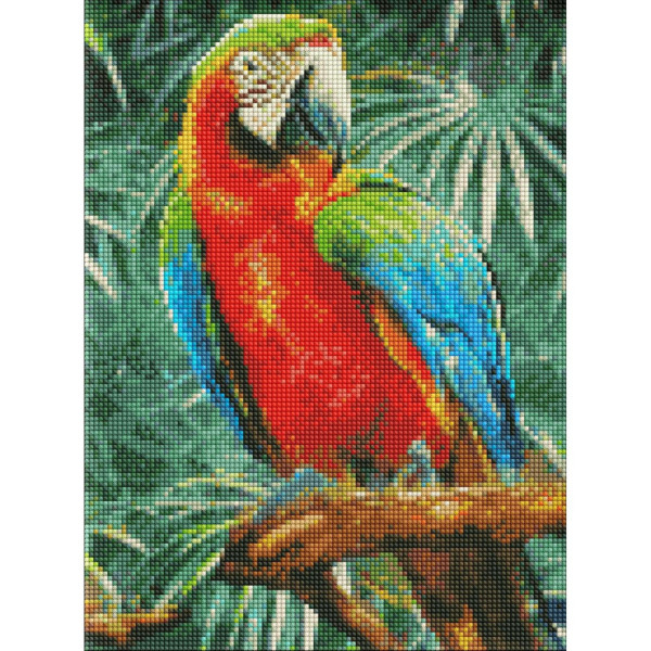 Алмазна мозаїка "Райдужний красень" Ідейка AMO7492 30х40 см
