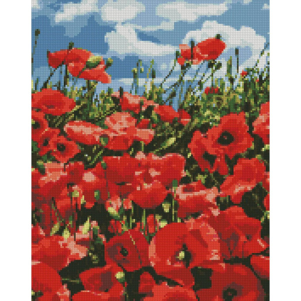 Алмазная мозаика "Удивительные маки" Идейка AMO7056 40х50 см