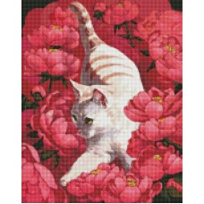 Алмазна мозаїка "Котик у півонії" Ідейка AMO7258 40х50 см