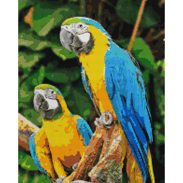 Алмазна мозаїка "Папуги Ара" Brushme DBS1049 40х50 см