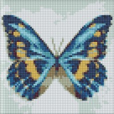 Алмазна мозаїка "Блакитний метелик" Ідейка AMC7679 без підрамника 20х20 см