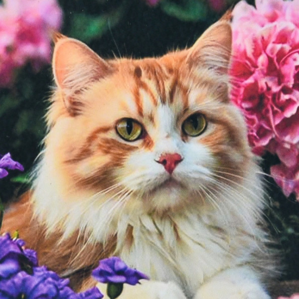 Алмазная мозаика "Кот в цветочном раю" HEE16334 30х30 см