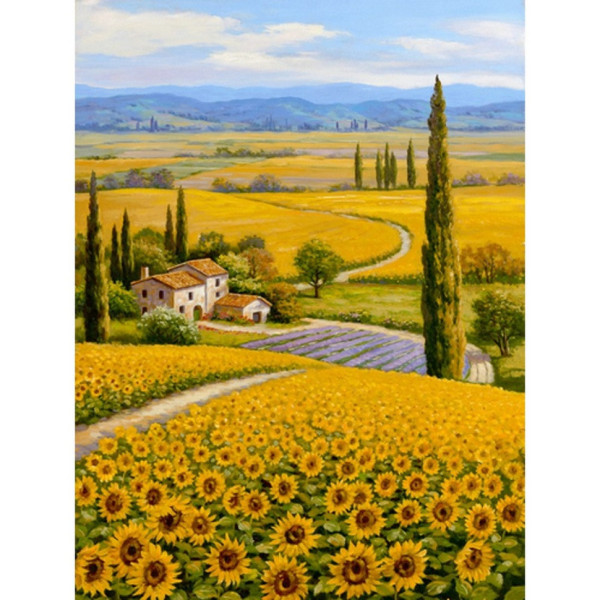Алмазна мозаїка без підрамника "Рідні поля" JSDF70798 30х40 см