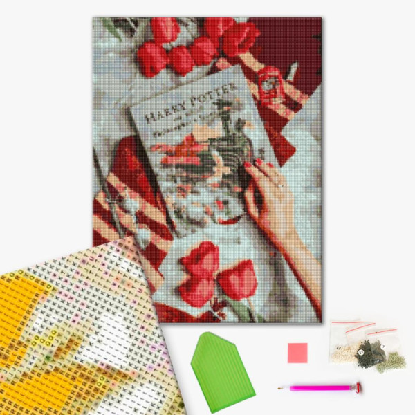 Алмазна мозаїка "Знайомство з магічним світом Гаррі" DBS1033 Brushme 40х50 см