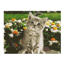 Алмазна мозаїка "Кошеня в ромашках" EJ1376, 40х30 см