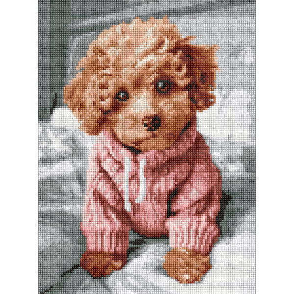 Алмазна мозаїка без підрамника "Чарівний мальтіпу" AMC7978, 30х40 см