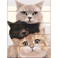 Картина за номерами по дереву "Різнокольорові коти" ASW190 30х40 см