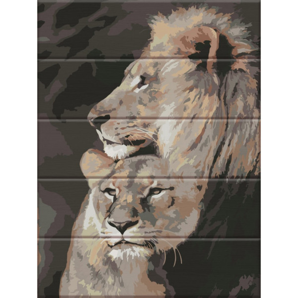 Картина по номерам по дереву "Нежные чувства" ASW053 30х40 см