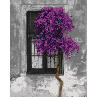 Картина по номерам. Art Craft "Контраст жизни" 40*50см 11202-AC
