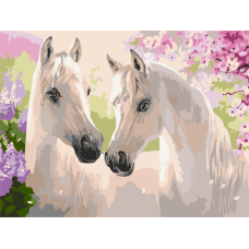 Картина за номерами "Пара коней" 11664-NN 30х40 см