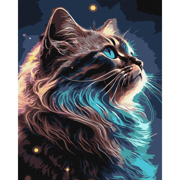 Картина по номерам "Магия космоса" KHO6549 40х50 см