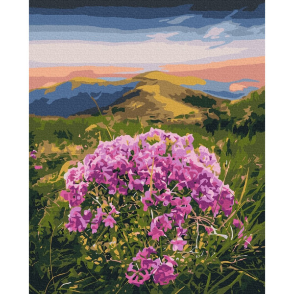 Картина за номерами "Цвітіння Карпат" ©Roksolana Baran BS53750, 40x50 см