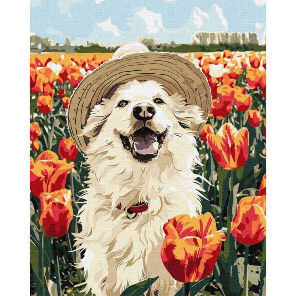 Картина по номерам "Счастливый лабрадор" KHO6623, 40х50 см