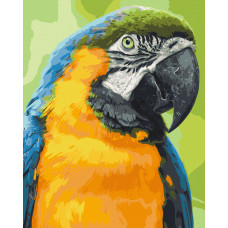 Картина за номерами. Art Craft Папуга Ара 40х50 см 11643-AC