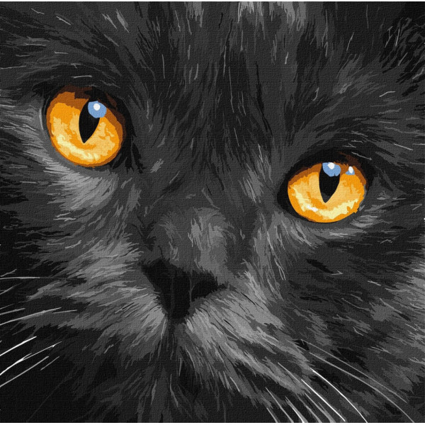 Набор картин по номерам 2 в 1 Идейка "Пиковая дама" 40х50 KHO4838 и "Янтарные глаза" 40х40 KHO4391