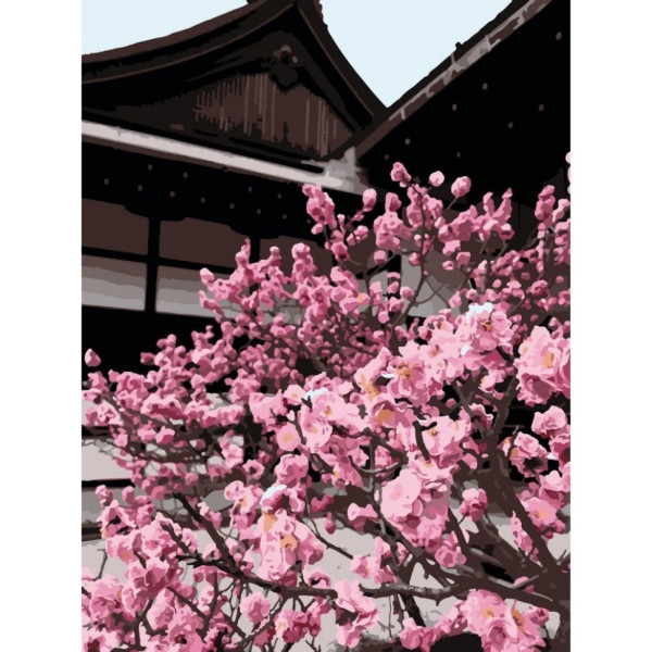 Набор картин по номерам 2 в 1 "Яркая композиция" 40х50 13001-AC и "Японская вишня" 40х50 10527-AC