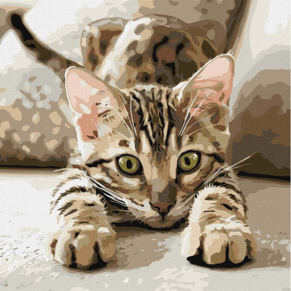 Картина по номерам "Игривый котенок" ©art_selena_ua KHO6877, 40х40 см