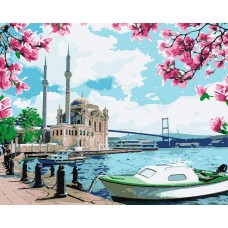 Картина по номерам. "Яркий Стамбул" Идейка KHO2757 40х50 см