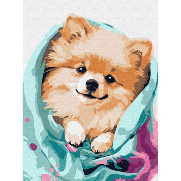 Набір картин за номерами 2 в 1 "Промінь щастя" 40х50 KHO2580 та "Щасливий шпіц" 30х40 KHO6545