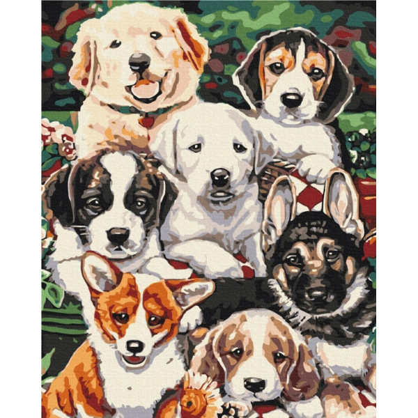 Картина за номерами "Цуцики" BS5544, 40x50 см