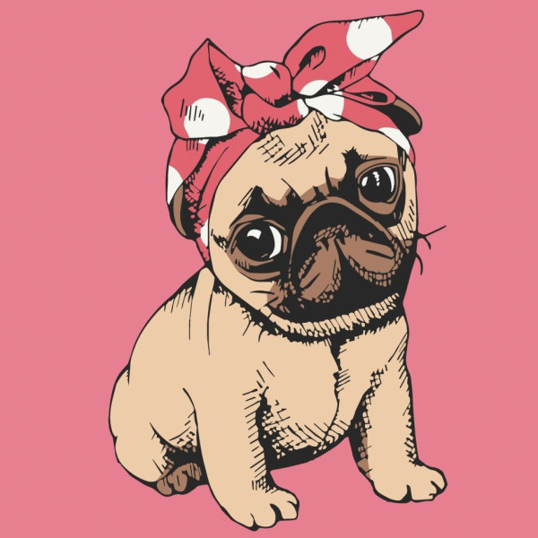 Картина за номерами "Мопсик" 15062-AC 30x30 см