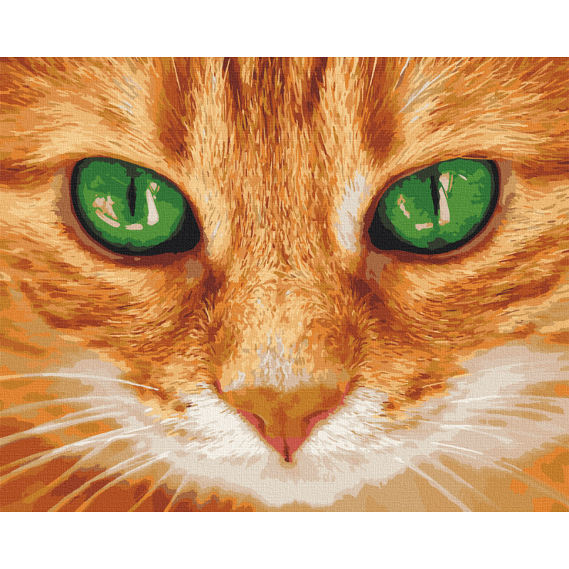 Картина по номерам. Art Craft "Зелёные глаза" 40*50 см 11620-AC