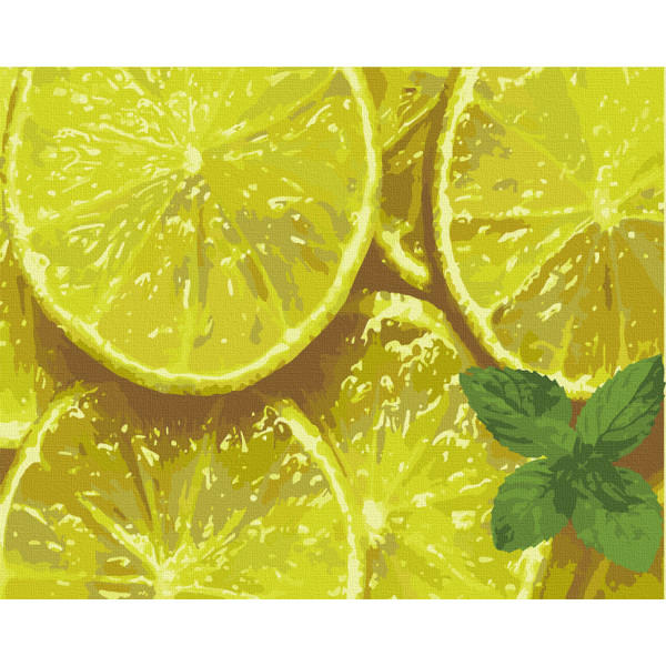 Картина за номерами. Art Craft "М'ятний цитрус" 40 * 50 см 12014-AC