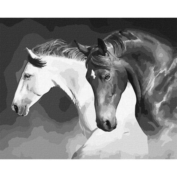 Картина по номерам. Идейка "Черно-белая сила" 40х50см KHO4276