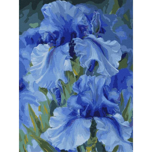 Картина по номерам "Голубые ирисы" ©Юлия Томеско KHO2988 30х40 см