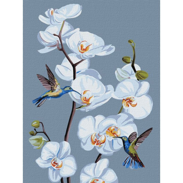 Картина по номерам "Цветущие орхидеи" ©annasteshka KHO3241 Идейка 30х40 см