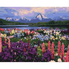 Картина за номерами "Долина польових квітів" BS21019, 40х50 см
