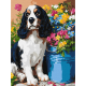 Картина за номерами "Милий спанієль" Ідейка KHO6672 30х40 см