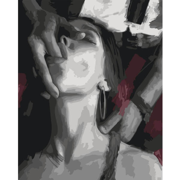 Картина по номерам "Вкус страсти" 10478-AC 40х50 см