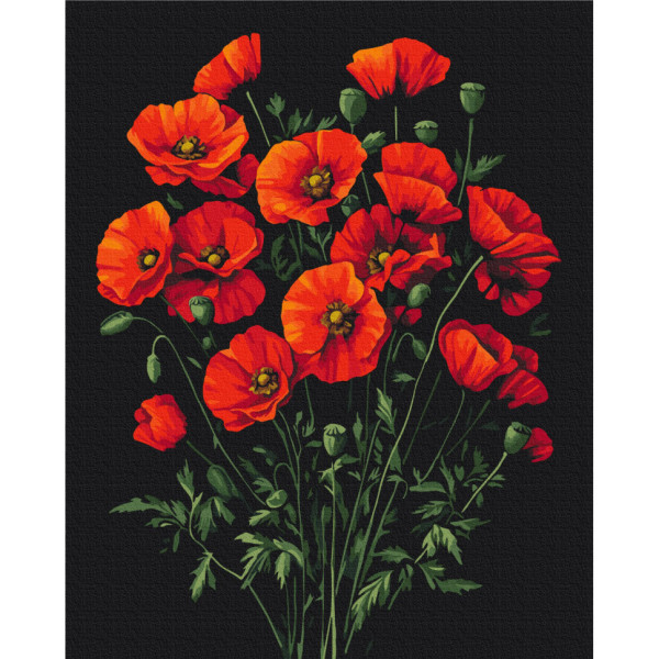 Картина за номерами "Чарівність маків" BS54146, 40х50 см