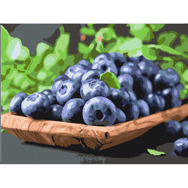 Картина за номерами. Art Craft "Соковита Елізабет" 40 * 50 см 12006-AC