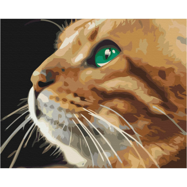 Картина за номерами "Погляд рижулі" Brushme BS52377 40х50 см