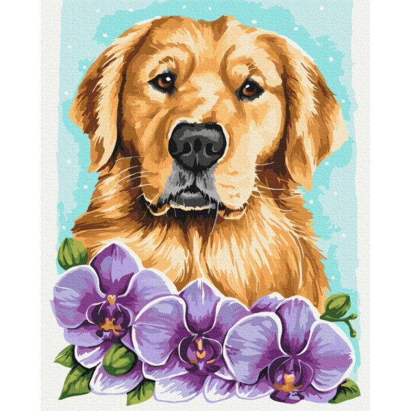 Картина за номерами "Золотистий ретривер" © Anna Kulyk Brushme BS53583 40х50 см
