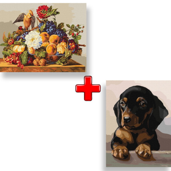 Набір картин за номерами 2 в 1 Ідейка "Обід омелюха" 40х50 KHO4396 та "Відданий погляд" 30х40 KHO4345