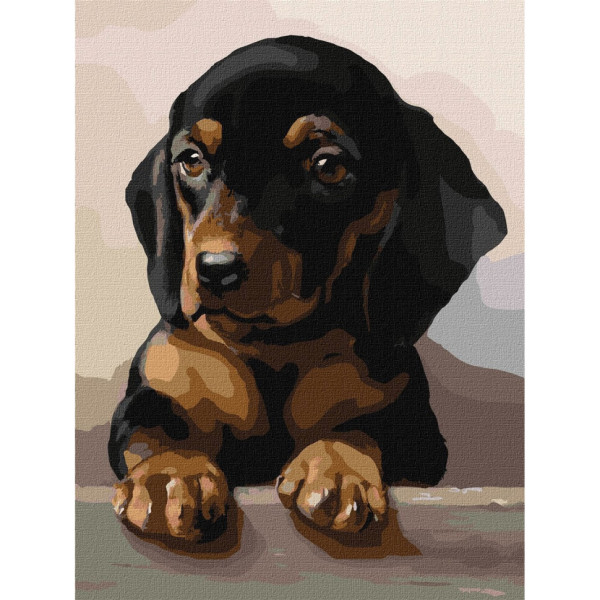 Набір картин за номерами 2 в 1 Ідейка "Обід омелюха" 40х50 KHO4396 та "Відданий погляд" 30х40 KHO4345