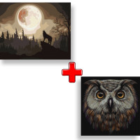 Набір картин за номерами 2 в 1 Ідейка "Містичний ліс" 40х50 KHO4291 та "Птах мудрості" 40х40 KHO4388