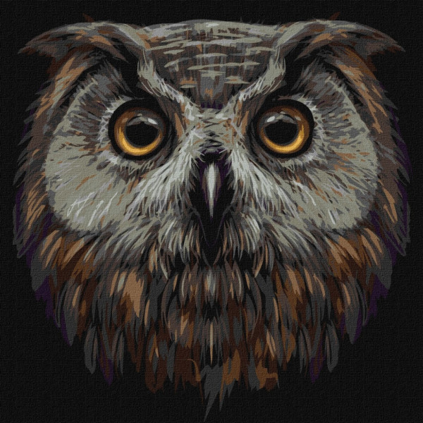 Набір картин за номерами 2 в 1 Ідейка "Містичний ліс" 40х50 KHO4291 та "Птах мудрості" 40х40 KHO4388