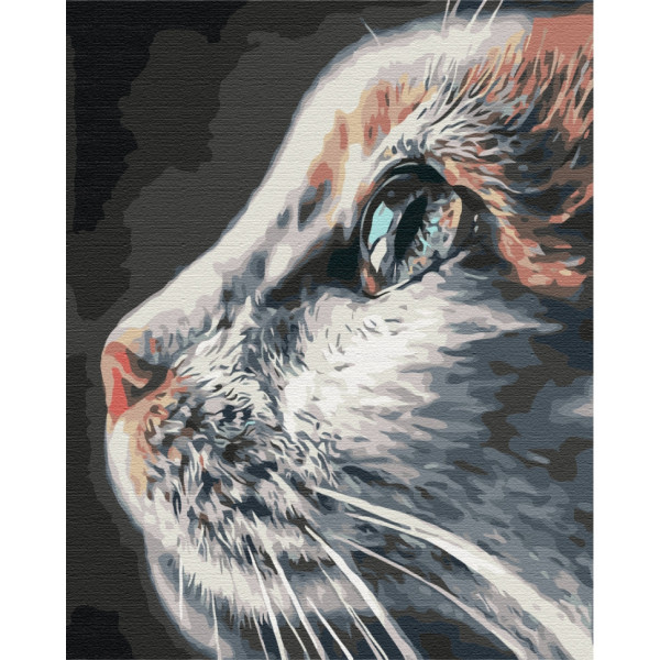 Картина за номерами "Котопрофіль" Brushme BS51792 40х50 см