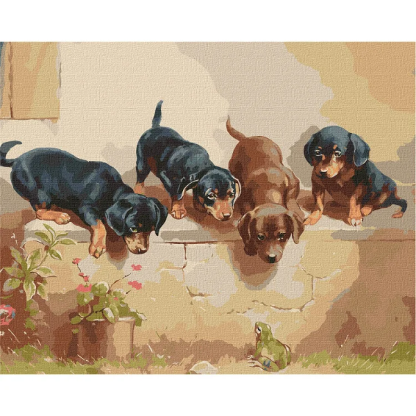 Картина за номерами "Несподівана зустріч" ©Carl Reichert Ідейка KHO4348 40х50 см