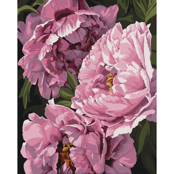 Картина за номерами "Магія квітів" ©ArtAlekhina KHO3242 40х50 см