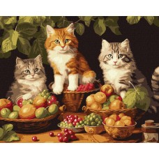 Картина по номерам "Котики и фрукты" KHO6586 40х50см