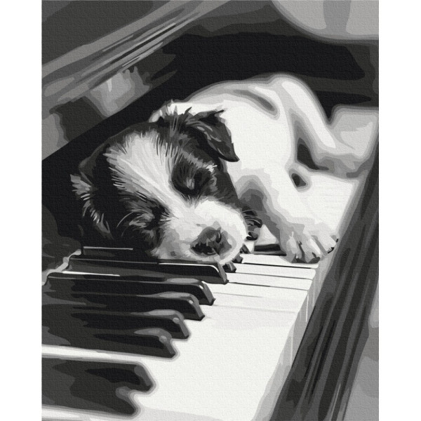 Картина за номерами "Мелодія сну" BS54066, 40x50 см