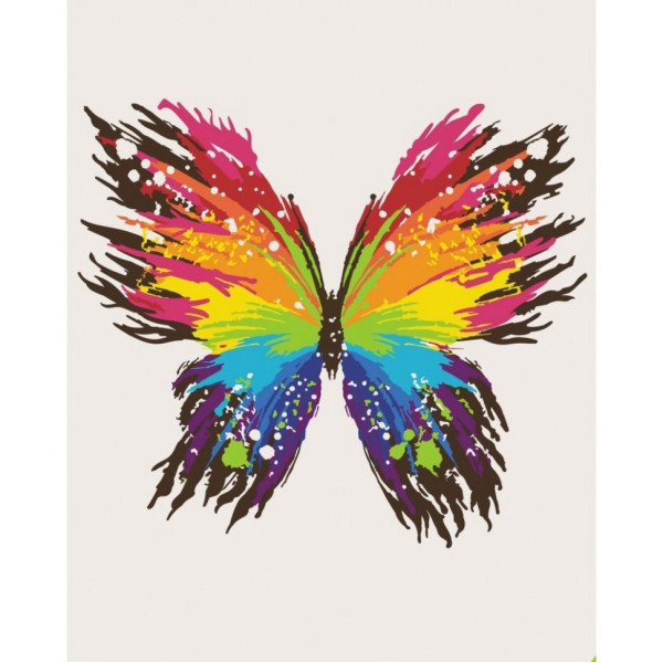 Набор картин по номерам 2 в 1 "Цветной Амстердам" 40х50 11227-AC и "Цветная бабочка" 40х50 11647-AC
