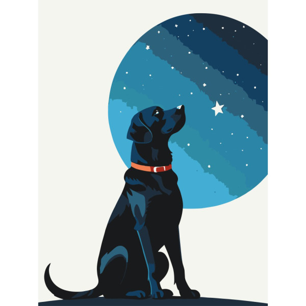 Картина по номерам "Звездный пес" 11714-AC 30х40 см